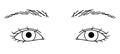woman eyes, double eyelids, downturned eyes ,outline illustration